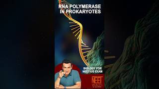 TRANSCRIPTION in PROKARYOTES  RNA Polymerase  Molecular Biology  Class 12 Genetic neet science [upl. by Nylyaj]