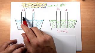 9SINIF FİZİK ADEZYON KOHEZYON YÜZEY GERİLİMİ KILCALLIK [upl. by Maffei]