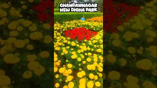 New Digha Park in Chandannagar shorts newdighapark chandannagar amusementpark [upl. by Lessig]