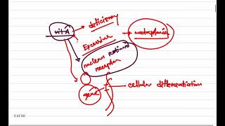 General Pathology Class 7 Mechanism of Metaplasia Dr Murtoza Shahriar [upl. by Riess]