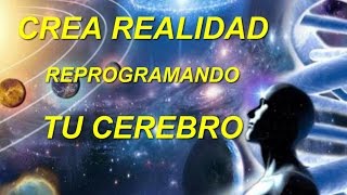 LA BIOQUÍMICA DE LA FELICIDAD REPROGRAMANDO TU CEREBRO [upl. by Petta]