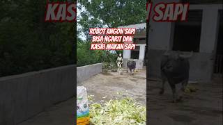 Robot angon sapi dan kerbau terus kita jadi apa viralvideo sapilucu [upl. by Seppala]