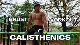 Brust trainieren im Calisthenics Park [upl. by Adnamor]