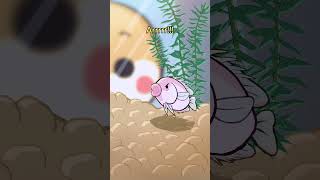 Kissing gourami 💋🐟 animation original cartoon [upl. by Nolubez]