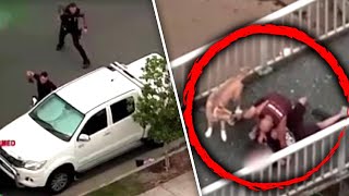 Dog Walker Tackles Alleged Car Thief [upl. by Ennayrb]