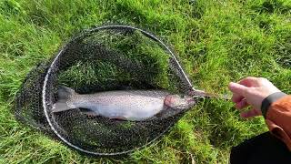 83  Fly Fishing at Rockbourne Trout Fishery [upl. by Nibla]