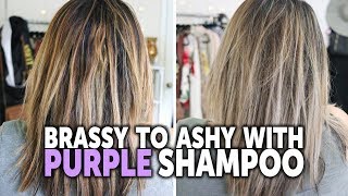 How to Tone Brassy Hair with Purple Shampoo  Drugstore Purple Shampoo Before and After [upl. by Ok]