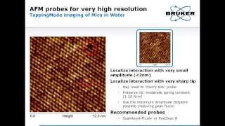 AFM  Probe Fundamentals Selection and Applications  Bruker [upl. by Ignazio]