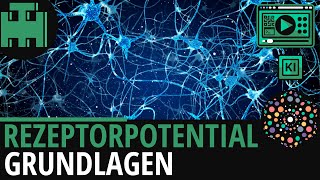 Rezeptorpotential Grundlagen│Biologie Lernvideo│Learning Level Up KI [upl. by Ajan]