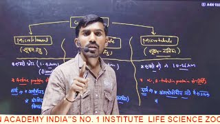 Centrosome centriolemicrobodies cytoskeleton Cell biology NEET part 9by TULCHHA RAM sir [upl. by Mellins]