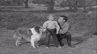 Lassie  Young Flyers  Full Episodes 🐕 [upl. by Pack]