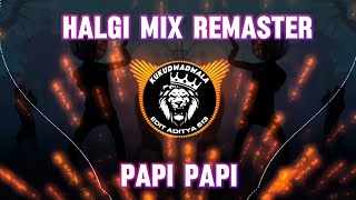 HALGI MIX REMASTER X PAPI PAPI   DJ SACHIN SDT [upl. by Clarinda]