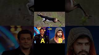 😱Lawrence bishnoi vs salman khan pls vote😱shortsfeed trending viralshorts viralvideo viral [upl. by Annelg]