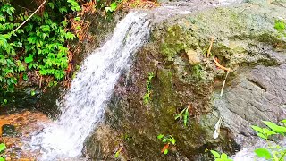 Relaxing waterfall beautiful Water sounds for sleeping [upl. by Tegdirb488]