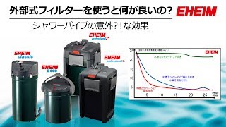 【EHEIM】外部式フィルターを使うと何が良いのか？ ～シャワーパイプの意外な効果！？～ [upl. by Ames]