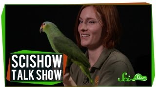 Telepathic Rats and a Redlored Amazon SciShow Talk Show 10 [upl. by Centonze]