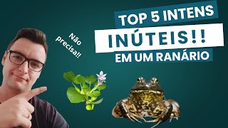 Você não deve ter no seu ranário agro zootecnia veterinaria ranicultura business [upl. by Iduj]