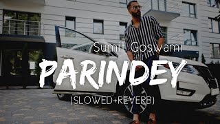 Parindey Slowed And Reverb Sumit Goswami  Parindey Lofi Song  New Haryanvi Songs Haryanavi 2022 [upl. by Avat]