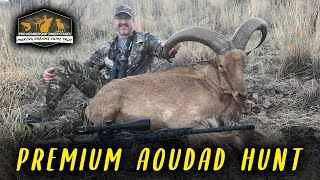 Pro Membership Sweepstakes Drawing for Premium Aoudad Hunt [upl. by Alford969]