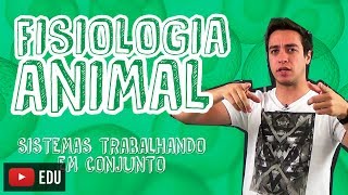 Biologia  Fisiologia Animal  Os Sistemas Trabalhando em Conjunto para o Enem e Vestibulares [upl. by Kerrill491]