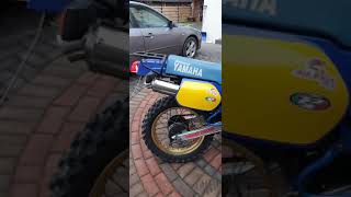 XT600 TENERE 1VJ REBUILD [upl. by Vaish]