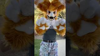 Suiter  fursuits Edit 💖 capcut trending fursuit [upl. by Doggett499]