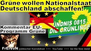 Grüne wollen Nationalstaat Deutschland abschaffen Kommentar EU [upl. by Koser]