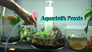 Aquariumraum Tour und praktisches Arbeiten mit Aquarien [upl. by Treat994]