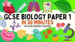 All of GCSE BIOLOGY Paper 1 in 30 minutes  The GCSE Science Teacher [upl. by Orabelle125]