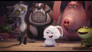 The Secret Life of Pets  Home Alone Scene  Fandango Family [upl. by Gwenny]