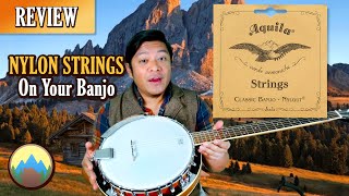 Aquila Nylgut Banjo Strings Review  Alternative String Options [upl. by Iridis436]