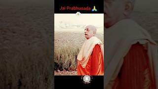 Yadi Prabhupada Na Hoito Jai Srila Prabhupada 🙏 short [upl. by Anerual]