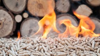 Breaking down biomass part one  Sustainable Energy [upl. by Oinigih]