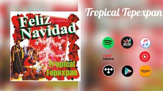 Canción campanas navideñas  Tropical Tepexpan [upl. by Nylrahs619]