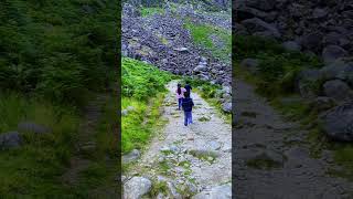 Kids read poem ‘Dreams’ by Langston Hughes Miner’s Way and Glenealo Valley Wicklow ireland beau [upl. by Esilehc810]