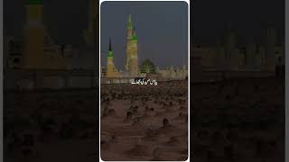 Apnay Rab ko many Haram ko chalinislamic naatshorts viral [upl. by Graniela204]