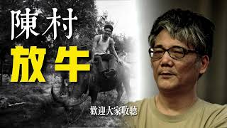 73 陈村——放牛｜那一代人曾经上山下乡的知青岁月 [upl. by Elleivap]