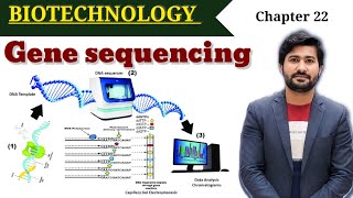 Gene Sequencing  Sangers methods  Dideoxy method  Maxim Gilbert method  Fsc class 12 [upl. by Solly947]