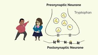 How Zoloft Sertraline Works [upl. by Anuahsar]