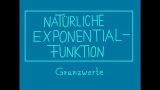 12 Exponentialfunktion Grenzwerte [upl. by Groveman729]