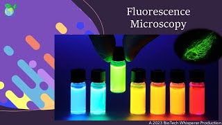 Fluorescence Microscopy Explained [upl. by Etnaled]