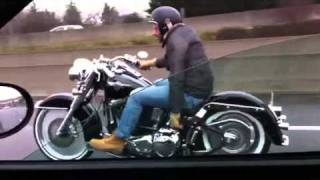 Harley Davidson softail [upl. by Specht]