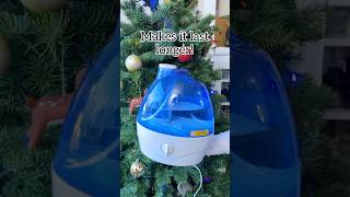 Keep Christmas Trees alive and fresh for longer by running a humidifier near it Christmas [upl. by Patten]