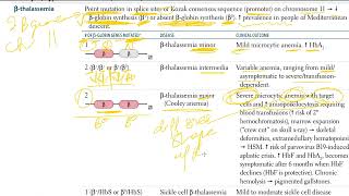 15 Thalassemias  Alpha Thalassemia and Beta Thalassemia  USMLE STEP 1 [upl. by Rosabelle312]