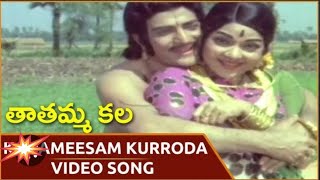 Korameesam kurroda song from tatamma kala popular dance ntrdance [upl. by Danny]