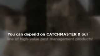 CatchMaster  How To Catch A Mouse [upl. by Leanor]