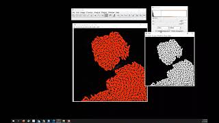 Classic thresholding with FIJI ImageJ [upl. by Anner46]