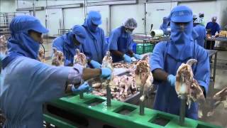 Poultry Processing in India From plan to plant [upl. by Dedra717]