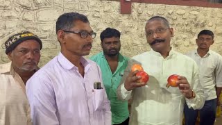 5  Dalimb Shetkaryanche Anubhav  Pomegranate Farmer Experience डाळिंब उत्पादक शेतकऱ्यांचे अनुभव [upl. by Ahsenahs498]