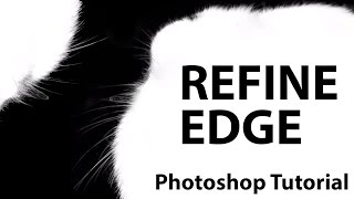 Photoshop CS5  Refine Edge [upl. by Xanthe]